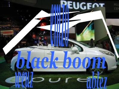 wa black boom